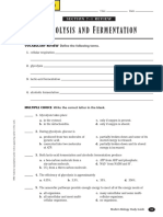 Glycolysis and Fermentation Worksheet Review