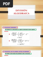 Division Algebraica 6°