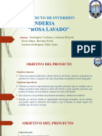 Proyecto de Inversión PPT Lavanderia