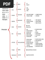 Cuadro Sinóptico Peritaje L