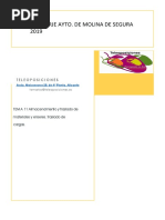 Tema 11 Almacenamiento y Traslado de Materiales