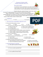 Evaluare Sumativă Sem I PDF