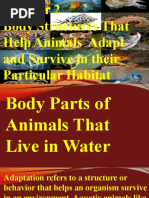 Bodily Structures of Animals