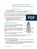 Tema 22 Dientes PDF