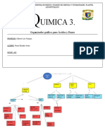 Organizador Grafico. Acidos y Bases.