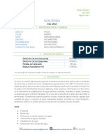 Ficha Tecnica Cal Viva PDF