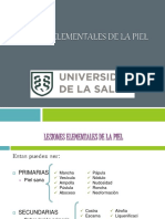 Lesiones Elementales de La Piel Unisa PDF