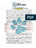 PDF Documento