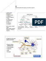  HISTOLOGÍA