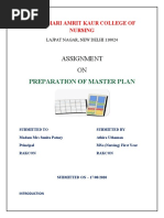 Master Plan Assignment