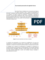 PRÁCTICA Operaciones de Procesado Postcosecha de Vegetales Frescos