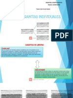 Garantias de LIBERTAD Y SOCIALES