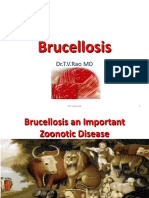 Brucellosis: Dr.T.V.Rao MD