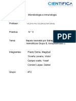 Informe 12 Micro