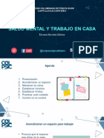 Salud Mental y Trabajo en Casa