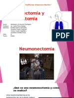 Neumonectomía y Lobectomía Grupo 6