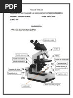 Uso Microscopio y Estereomicroscopio 