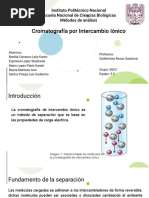 Cromatografía de Intercambio Iónico - 5QV2 - Eq3