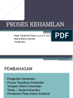 Proses Kehamilan