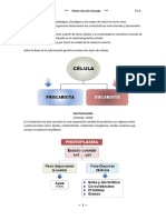 Protoplasma