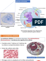 Biologie Cellulaire Et Biochimie Structural 2