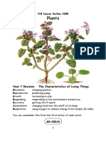 Yr8 Plants 2008