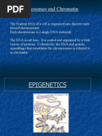 Chromosomes and Chromatin