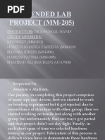 Open Ended Lab Presentation ( (Mm-205) )