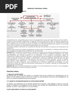 Derecho Procesal Penal