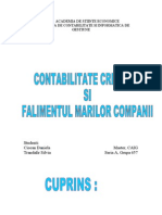 CTB Creativa Si Falimentul Marilor Companii