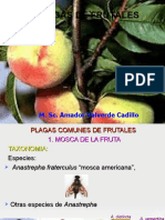 Frutales (95) 2013.