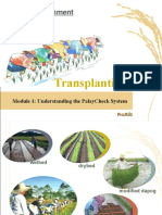 Crop Establishment: Transplanting