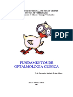 Fundamentos de Oftalmologia Clínica