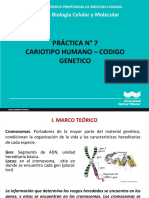 Practica N7 - Cariotipo - Codigo Genetico