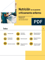 Nutrición en El Paciente Críticamente Enfermo