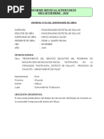 Informe Mensual de Supervision Tuntipucra01