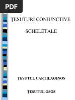 Histologie-Lp6 Tesutul Cartilaginos Osos