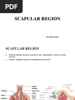 Muscles of Scapular Region