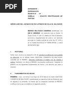 Demanda de Rectificacion de Partida-Marino Baltazar