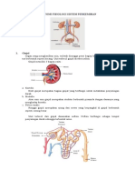 ANATOMI FISIOLOGI SISTEM PERKEMIHAN Fiks