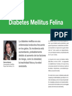 AV 36 Diabetes Mellitus Felina