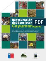 Libro Restauración Ecosistema Cayumanque