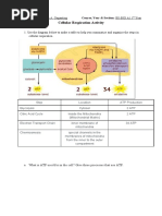 Cellular Respiration Activity (Repaired)