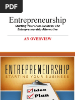 Entrepreneurship Overview