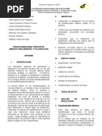 INFORME 1 Medidas Preliminares