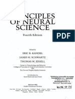 Principles of Nerual Science