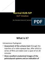 Normal KUB-IVP: GUT Viewbox