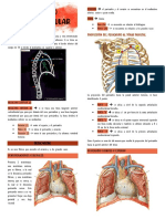 Degra 9.2 - Aparato Cardiovascular