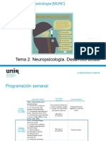 Tema 2. Neuropsicología. Desarrollo Actual 2