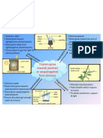 Stimuli & Responses in Plants